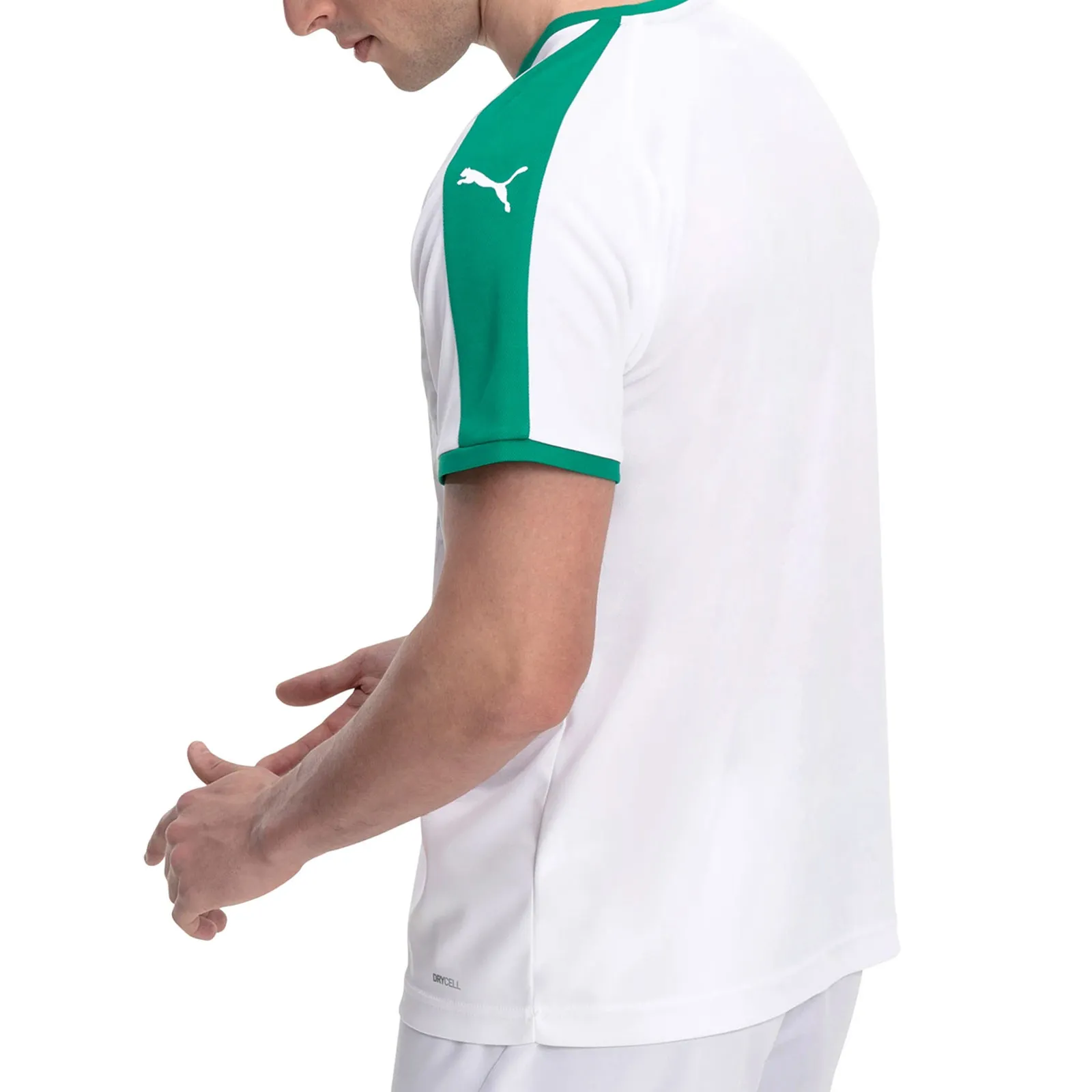 Camiseta Puma Senegal 2018