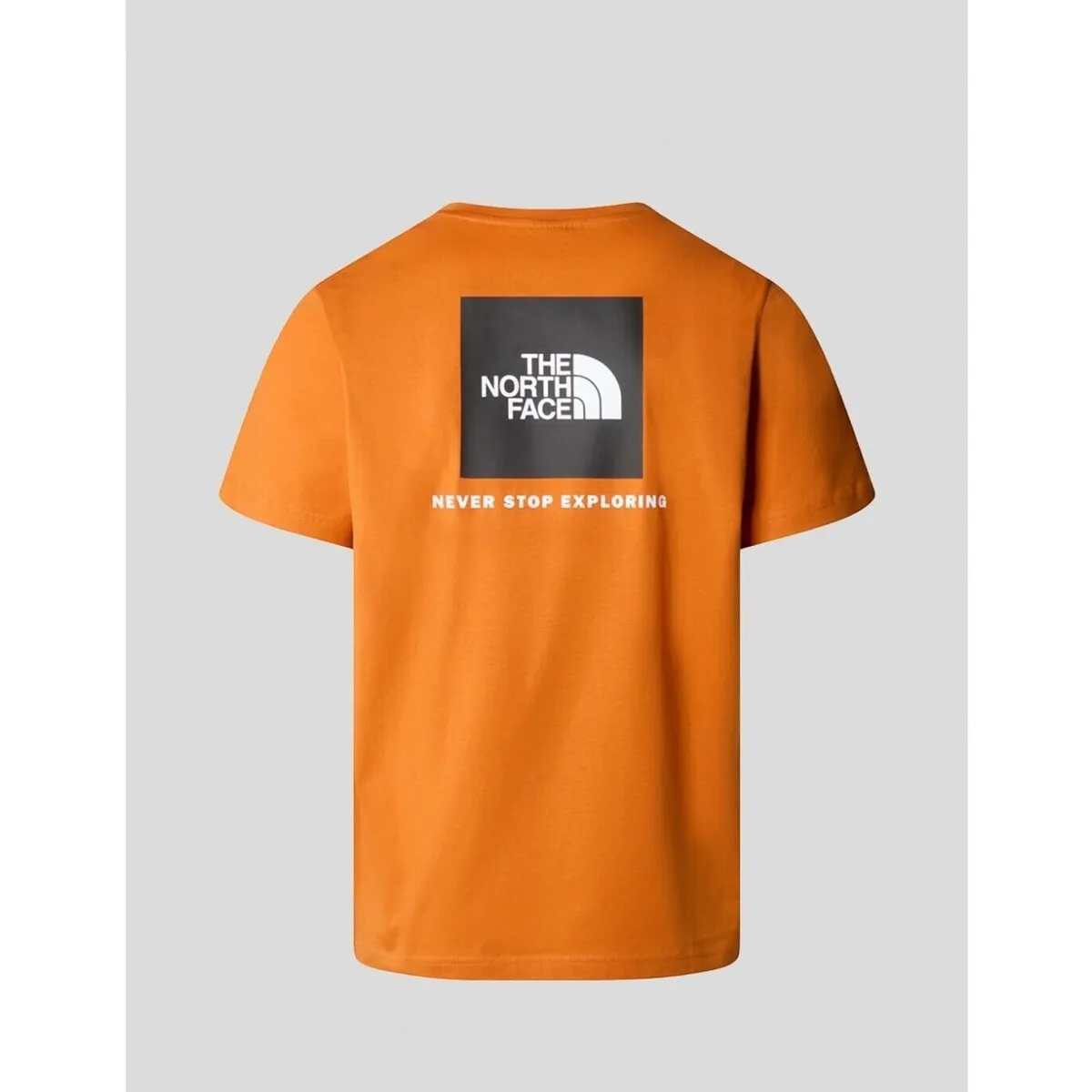 CAMISETA  REDBOX TEE   DESSERT RUST