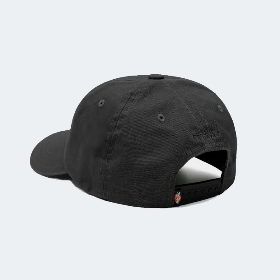 Gorra DICKIES HARDWICK DK0A4TKVBLK1